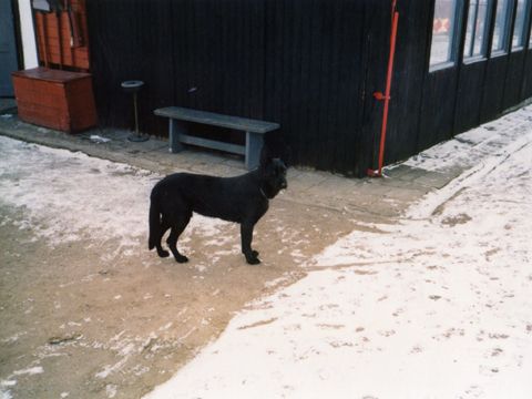 Foto 8